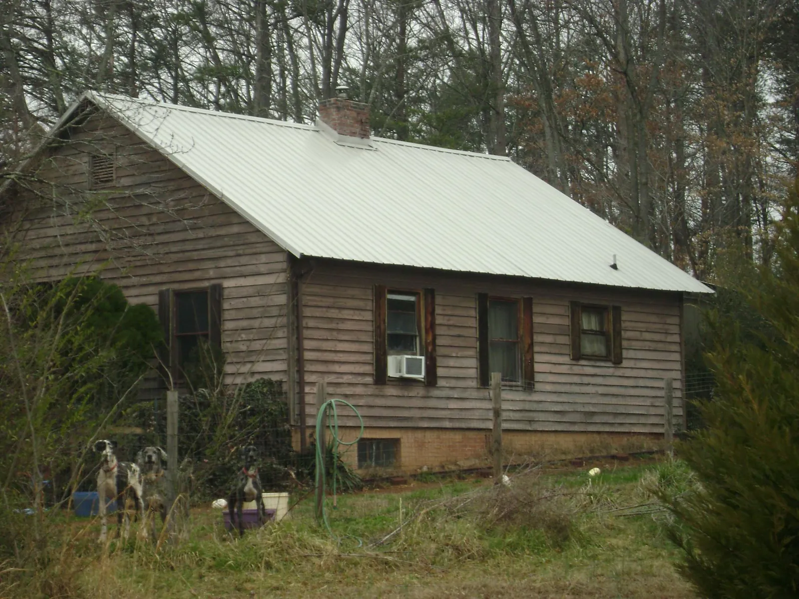 White metal roof on an old wood sided farmhouse, from a Asphalt Shingle Roof Repair job in Lagunitas
